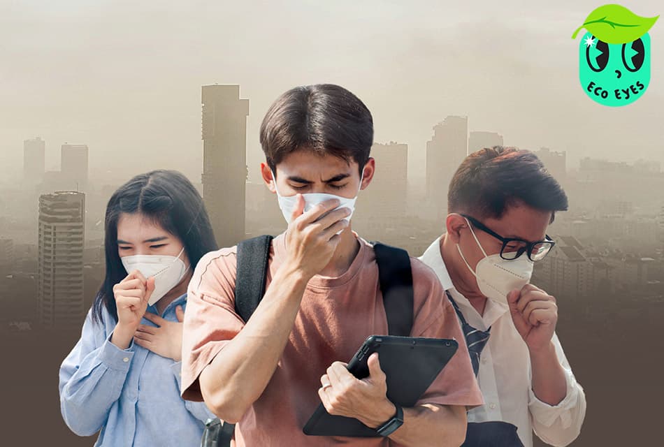 ecoeyes_nidapoll_work_from_home_helps_reduce_pm25_SPACEBAR_Thumbnail_04c58e366b.jpg