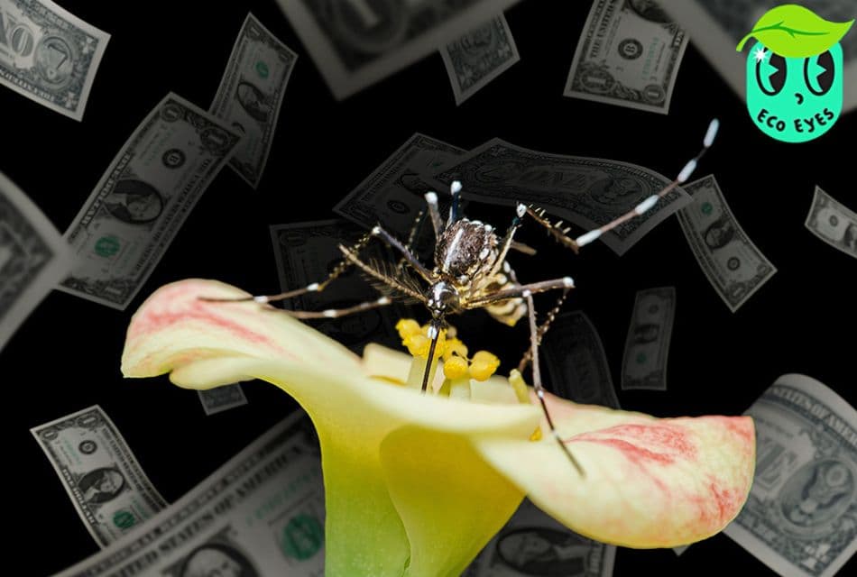 ecoeyes_philippines_came_up_with_an_idea_mosquitoes_for_money_to_save_the_world_SPACEBAR_Thumbnail_2_7b5b4aa640.jpg