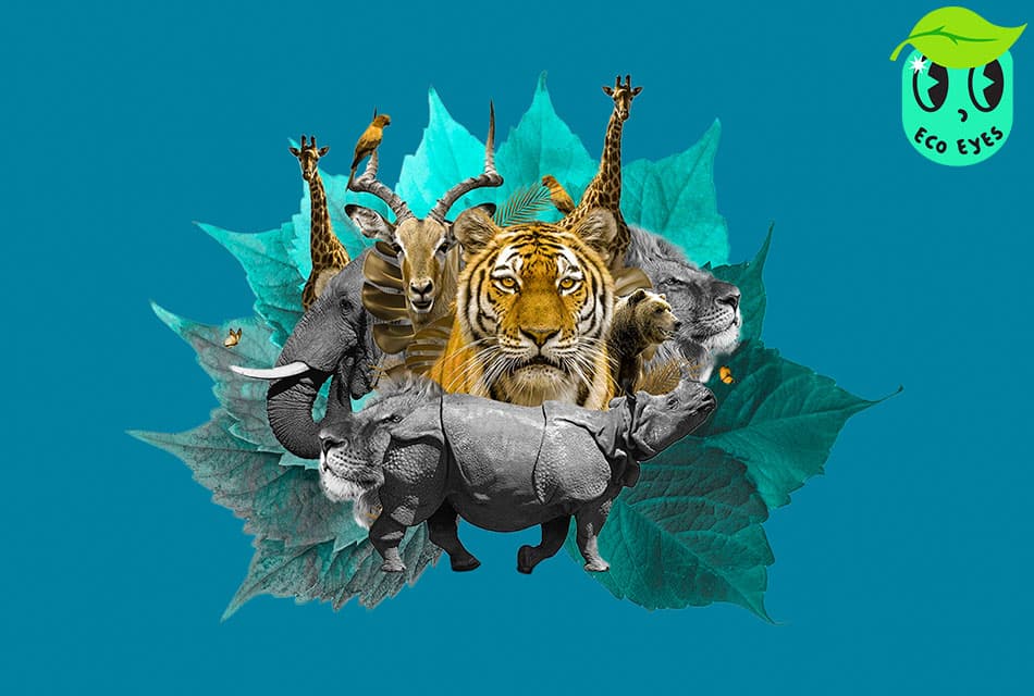 ecoeyes_world_wildlife_day_from_conservation_to_investing_to_save_the_world_SPACEBAR_Thumbnail_80f263ac6a.jpg