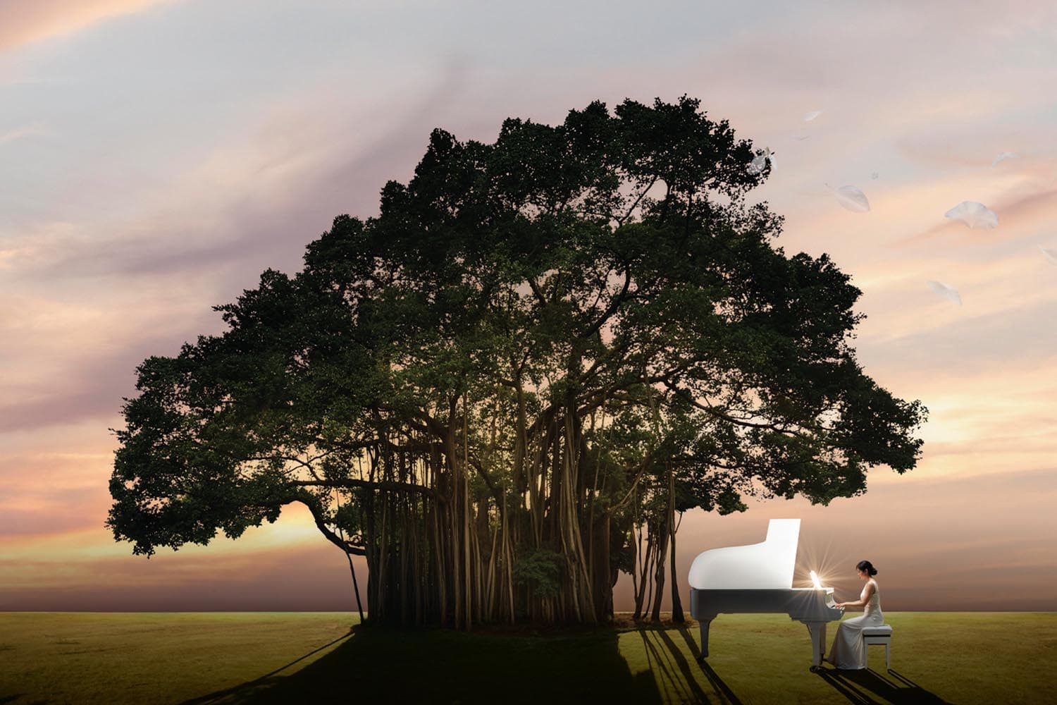 กลุ่ม ปตท. เชิญร่วมงาน ‘Still On My Mind ในดวงใจนิรันดร์’