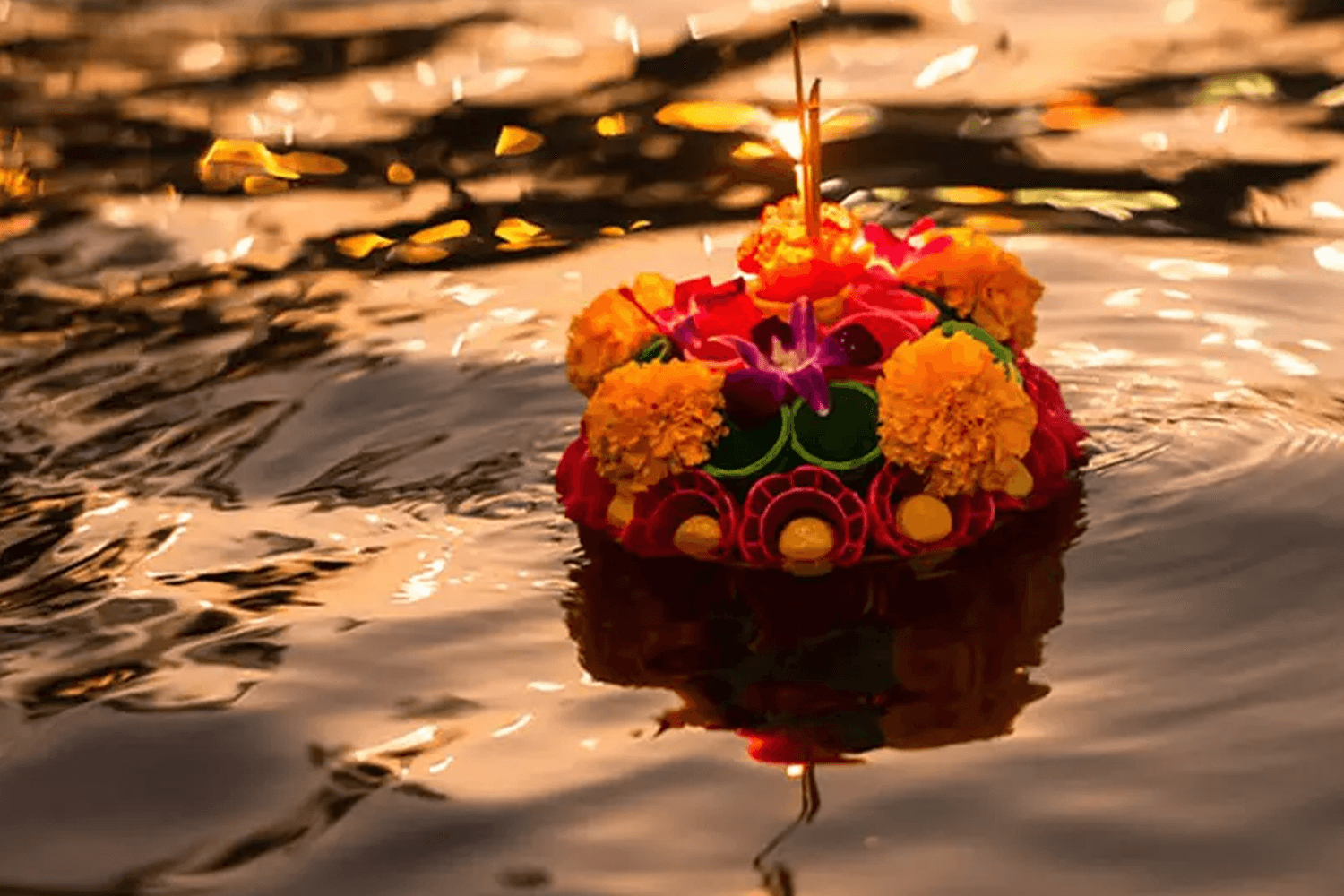 ลอยต่อหรือพอเท่านี้? ในยุคที่เกิดวิกฤตสิ่งแวดล้อม อนาคตวันลอยกระทงจะเป็นอย่างไร