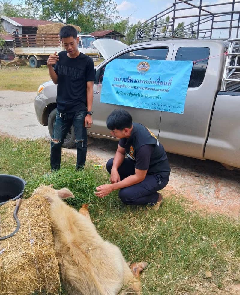 government-evacuation-pets-border-thailand-cambodia-clashes-SPACEBAR-Photo V01.jpg