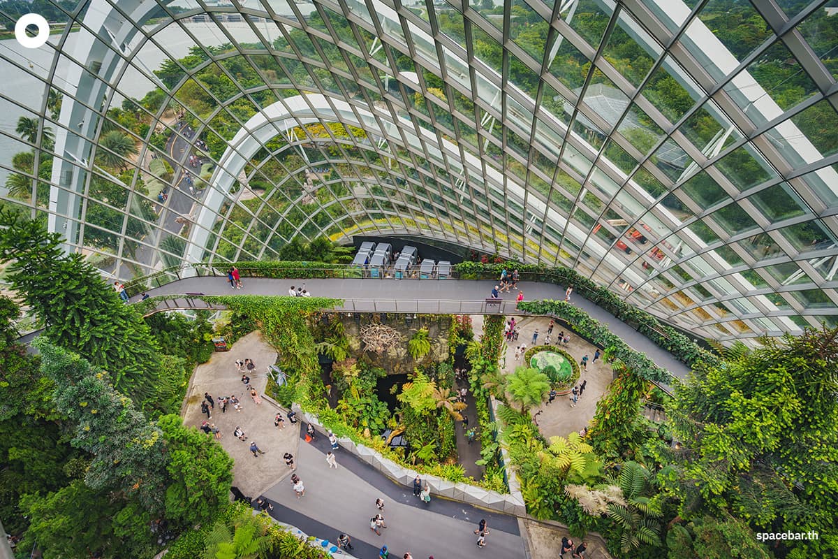 (Photo by : Shutterstock / AfriramPOE)