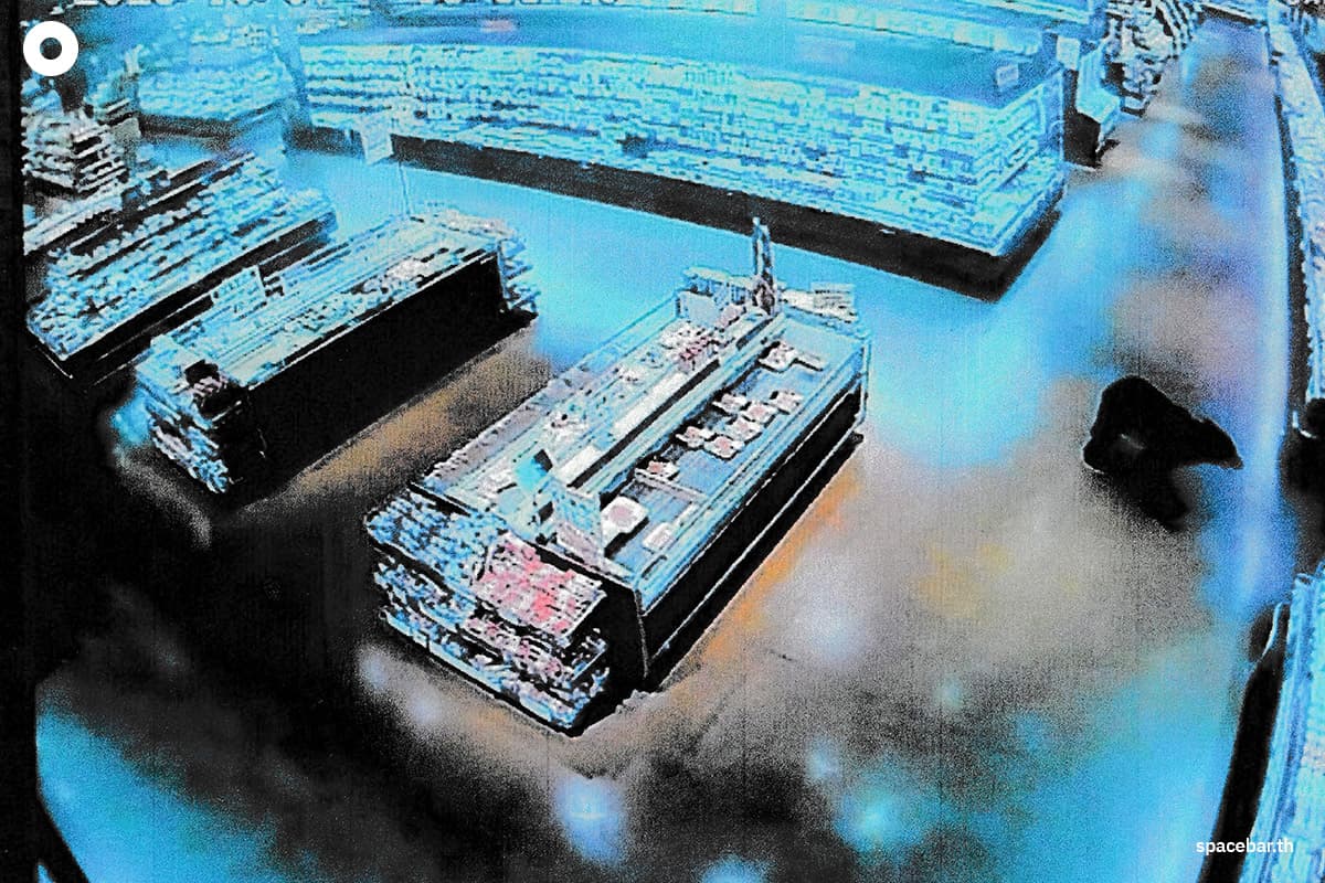 (Photo by : HANDOUT / VARIOUS SOURCES / AFP)