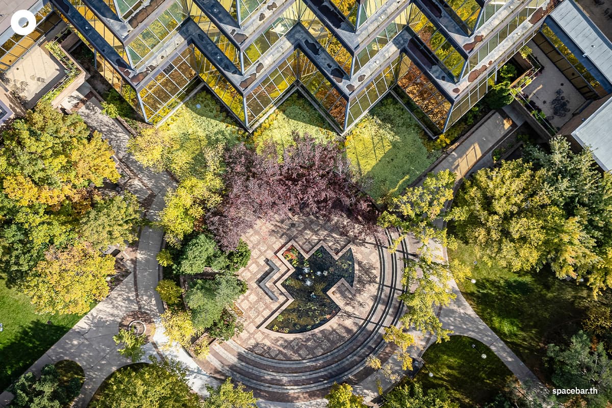sustainability-research-shows-human-nature-connection-dropped-60-percent-in-200-years-SPACEBAR-Photo02.jpg