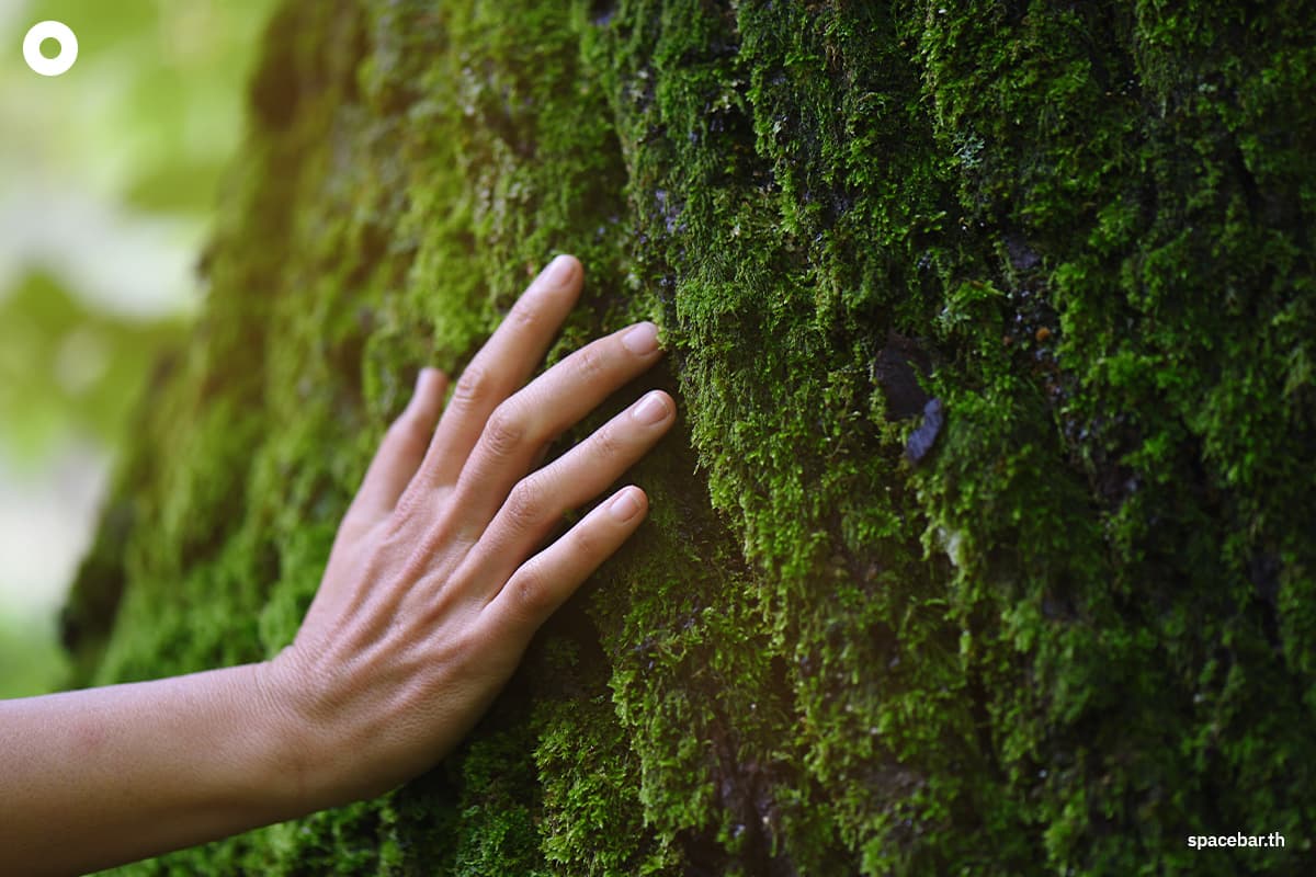 sustainability-research-shows-human-nature-connection-dropped-60-percent-in-200-years-SPACEBAR-Photo03.jpg