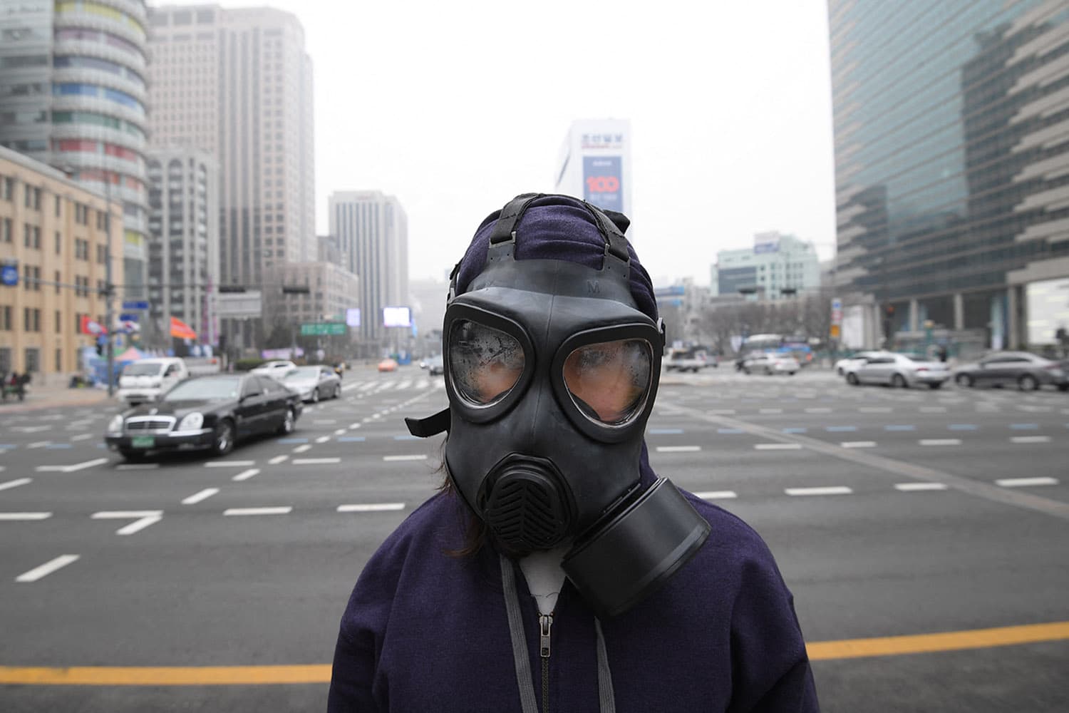 กรุงโซลชนะสงครามฝุ่น! ลด PM2.5 ใน 20 ปี สู่วันอากาศดีเกือบทั้งปี