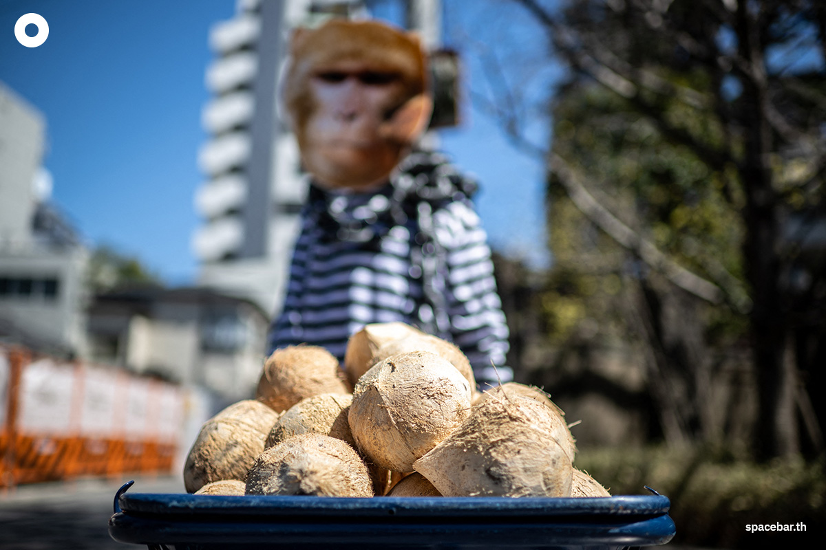 photo_story_demonstrators_protest_thailand_monkeys_coconut_picking_SPACEBAR_Photo03_52e41df962.jpg