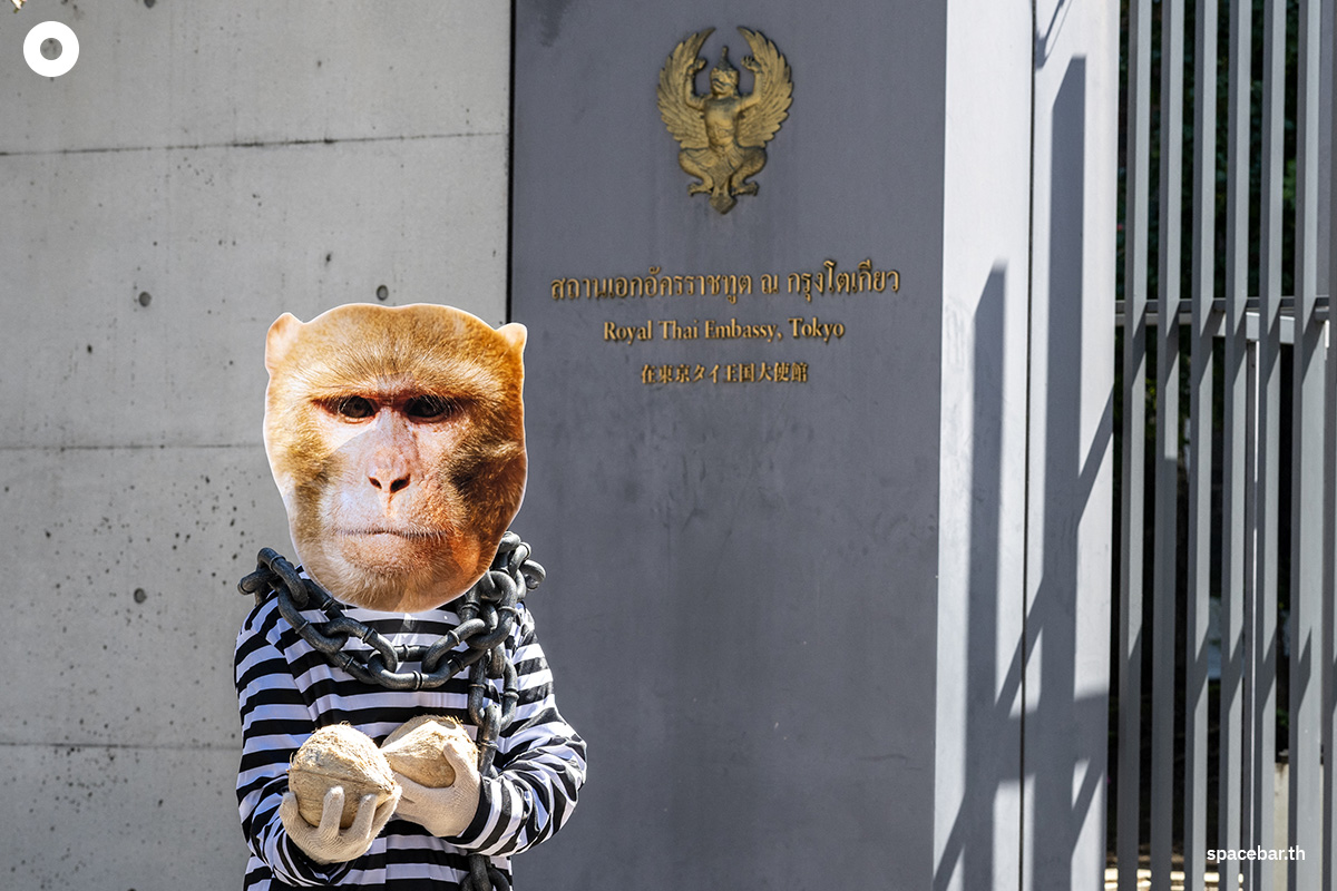 photo_story_demonstrators_protest_thailand_monkeys_coconut_picking_SPACEBAR_Photo04_2708d4612d.jpg