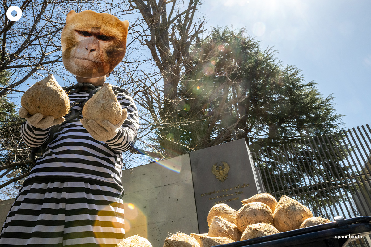 photo_story_demonstrators_protest_thailand_monkeys_coconut_picking_SPACEBAR_Photo05_858e223b96.jpg