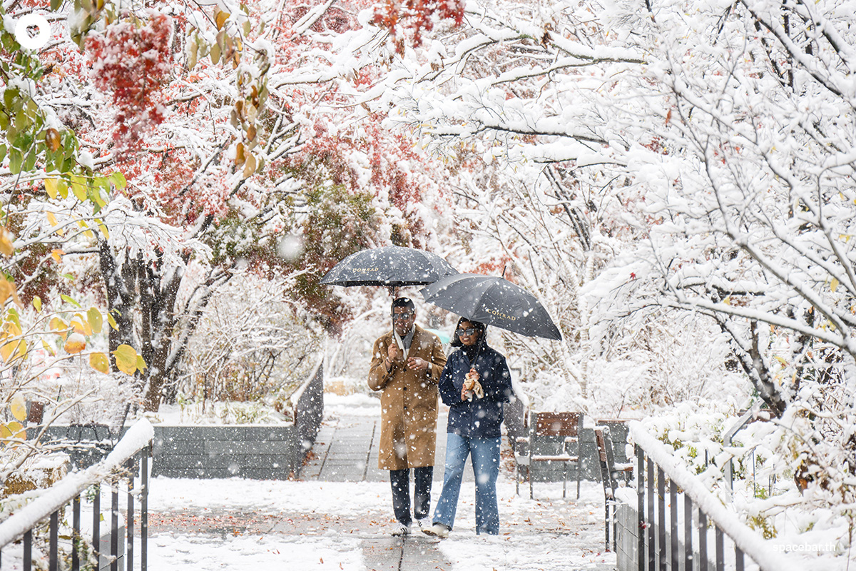 photo_story_seoul_heaviest_november_snow_in_100_years_SPACEBAR_Photo02_bbe51368f8.jpg