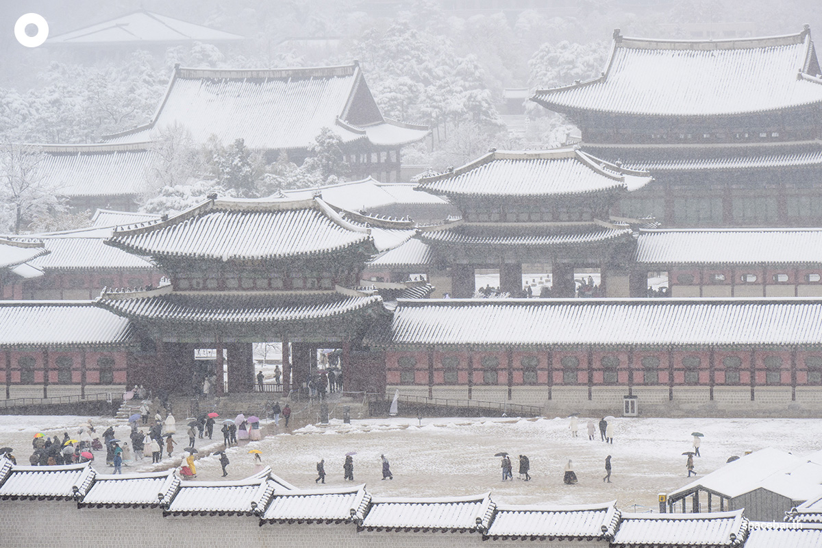 photo_story_seoul_heaviest_november_snow_in_100_years_SPACEBAR_Photo03_77cf67eb5a.jpg