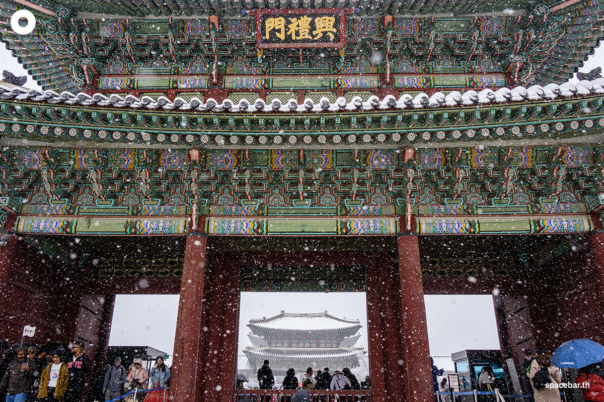 photo_story_seoul_heaviest_november_snow_in_100_years_SPACEBAR_Photo05_cb46ef26c2.jpg