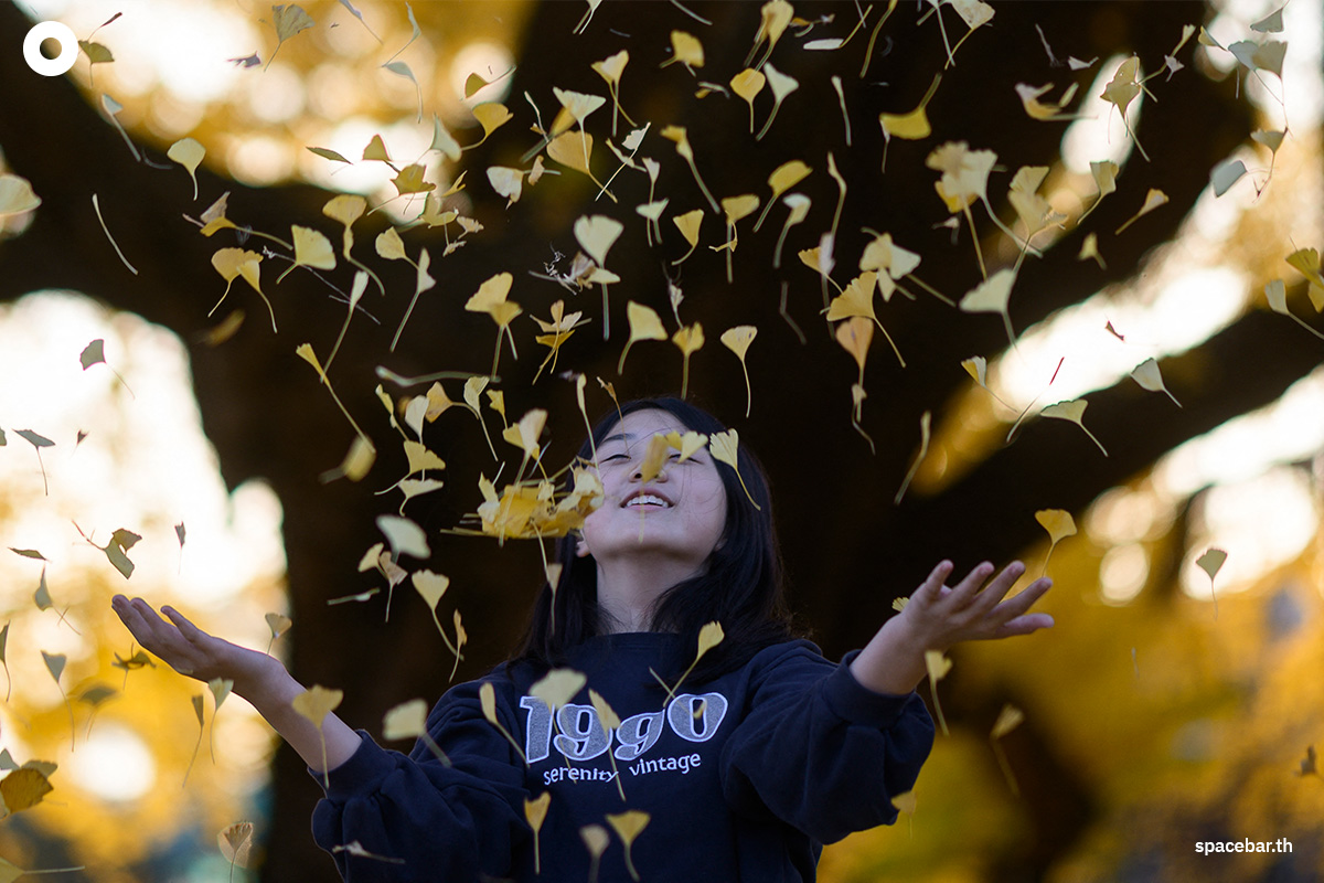 photo_story_south_korea_ginkgo_tree_bangyeri_SPACEBAR_Photo03_1_c39f37b0f9.jpg