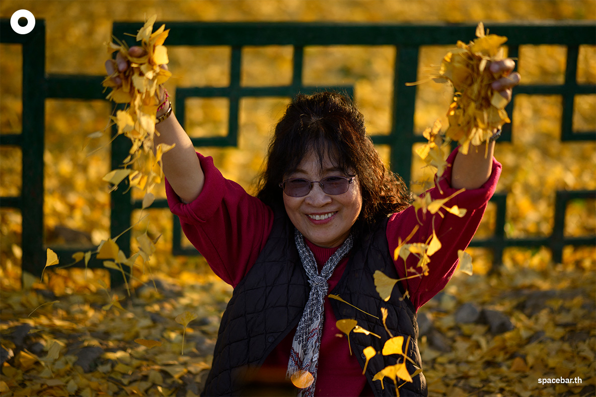 photo_story_south_korea_ginkgo_tree_bangyeri_SPACEBAR_Photo04_1_9d35ef18f5.jpg