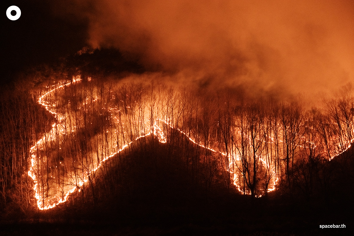 photo_story_south_korea_largest_wildfires_in_history_SPACEBAR_Photo00_cedb4c3d4b.jpg