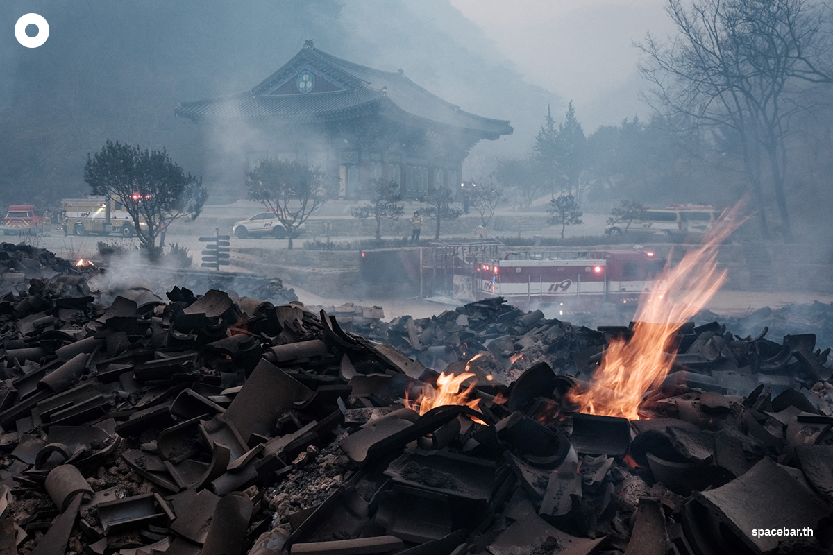 photo_story_south_korea_largest_wildfires_in_history_SPACEBAR_Photo01_d7fdaf6595.jpg