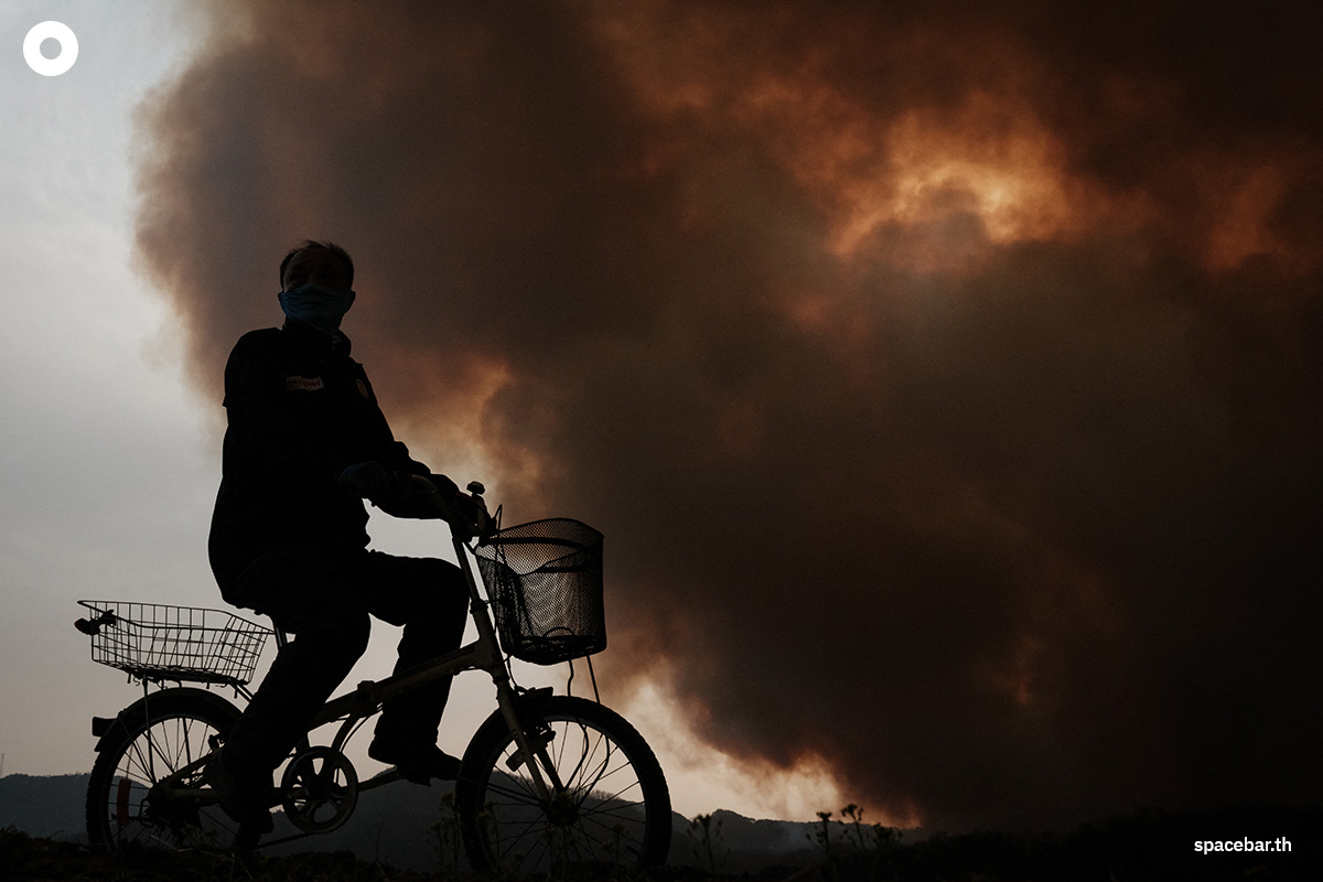 photo_story_south_korea_largest_wildfires_in_history_SPACEBAR_Photo02_e811f69389.jpg