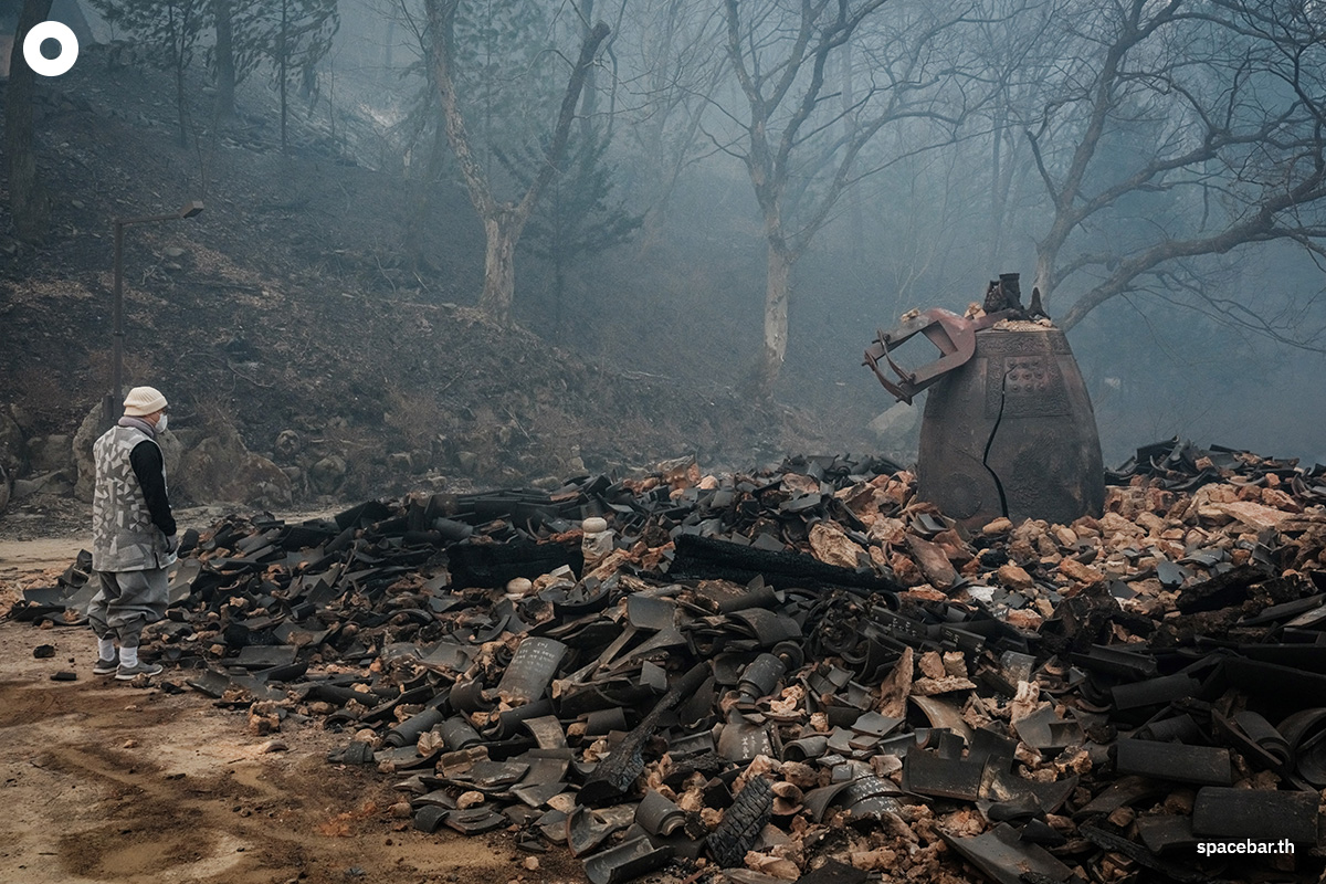 photo_story_south_korea_largest_wildfires_in_history_SPACEBAR_Photo03_272f1cdb83.jpg