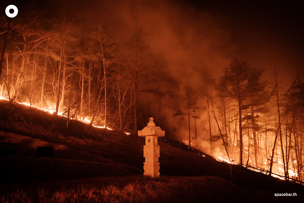 photo_story_south_korea_largest_wildfires_in_history_SPACEBAR_Photo06_839a8f5253.jpg