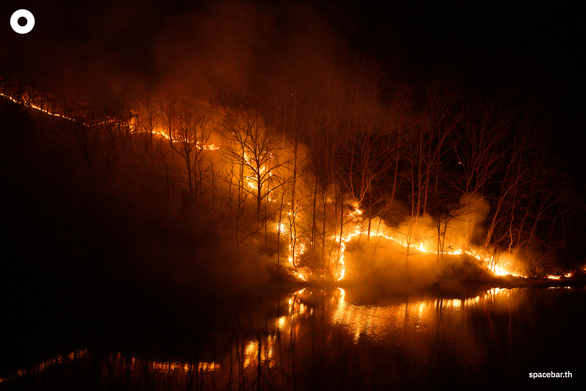 photo_story_south_korea_largest_wildfires_in_history_SPACEBAR_Photo08_4c7a5ae92b.jpg