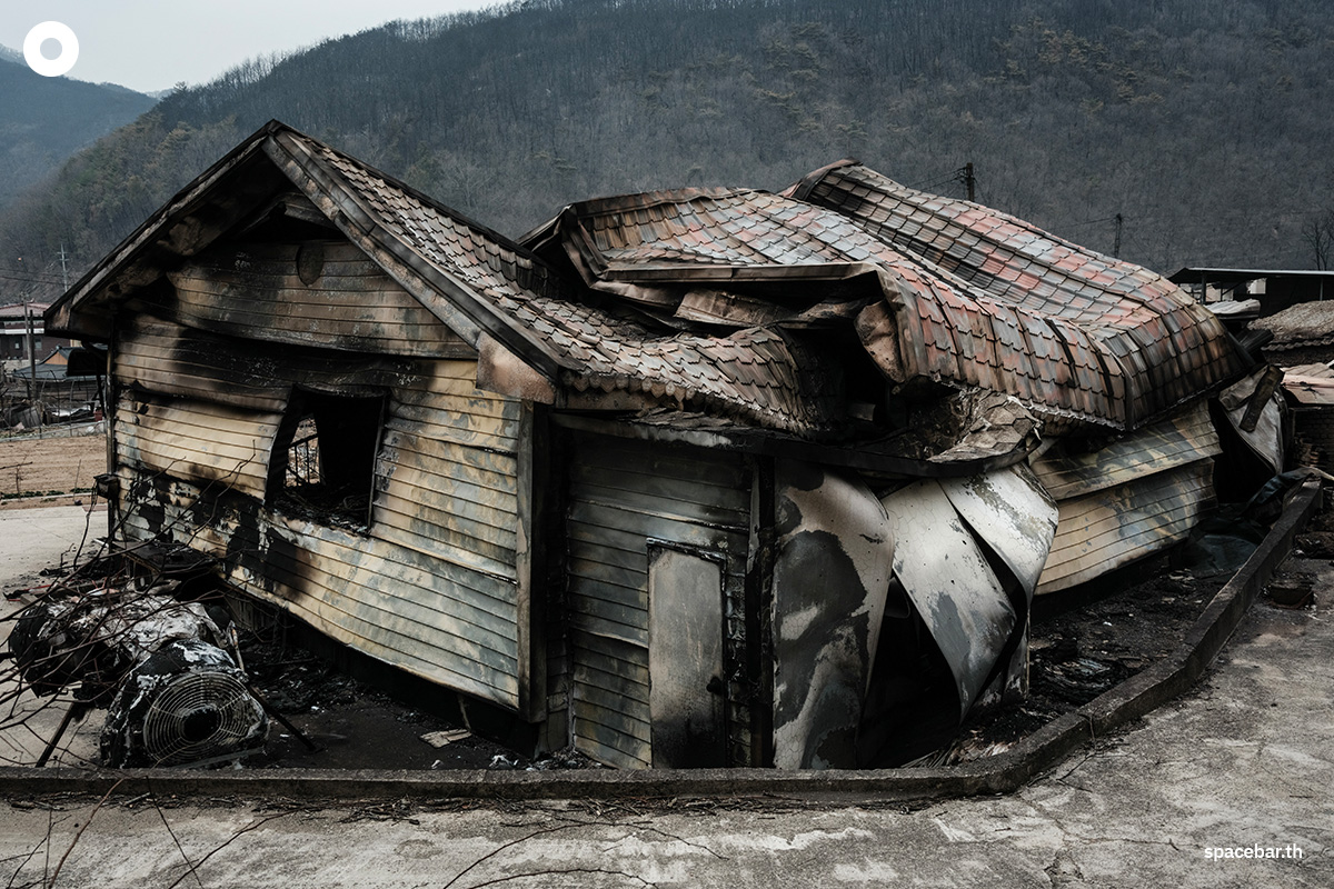 photo_story_south_korea_largest_wildfires_in_history_SPACEBAR_Photo10_0080d3ae38.jpg