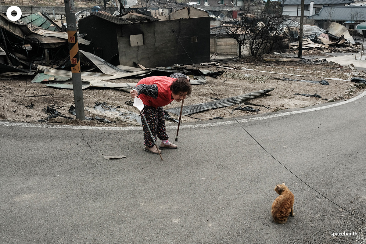 photo_story_south_korea_largest_wildfires_in_history_SPACEBAR_Photo11_7f3d10657f.jpg