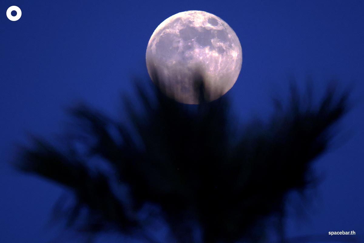 photo_story_super_full_moon_around_the_world_SPACEBAR_Photo09_ecc4b816c3.jpg